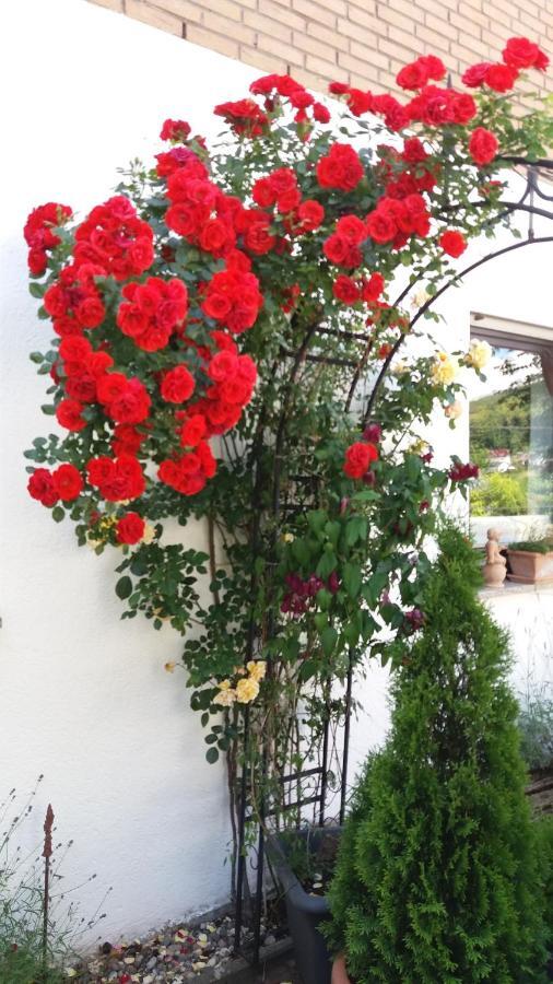 Ferienwohnung Rosentraum Oberotterbach 外观 照片